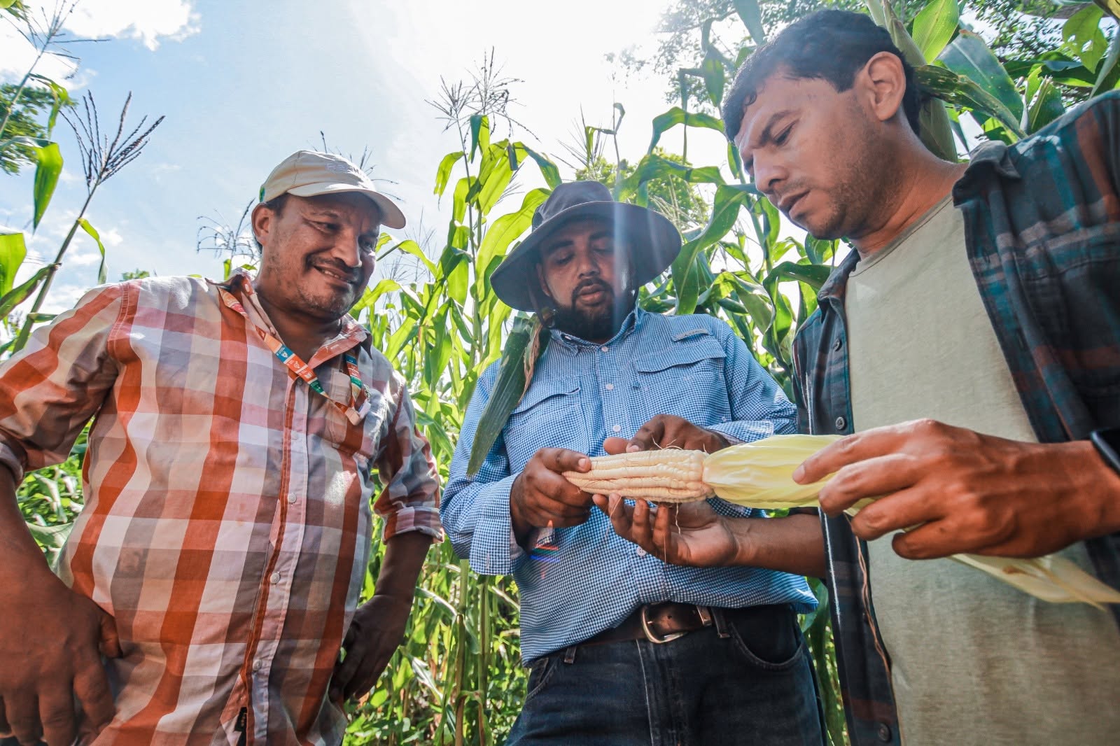 Producción Agropecuaria - Agroecología en Morazán