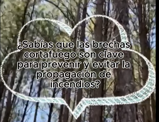 Prevención de incendios forestales: Apertura y rehabilitación de brechas cortafuego en el territorio